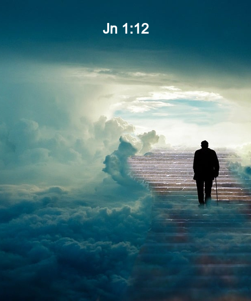 Evangelio 14