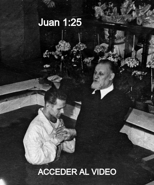 Evangelio 28